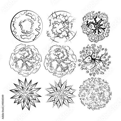 Set Vector image of top view plants for drawing in landscape design 