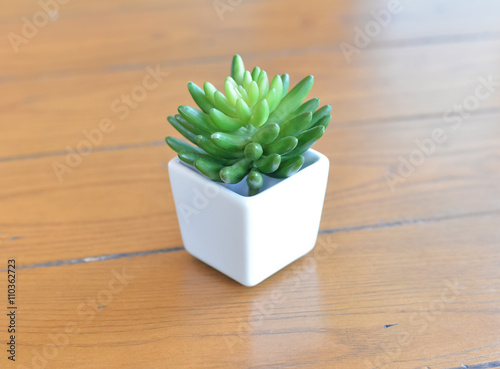 Fake succulent plant in the vase on the table