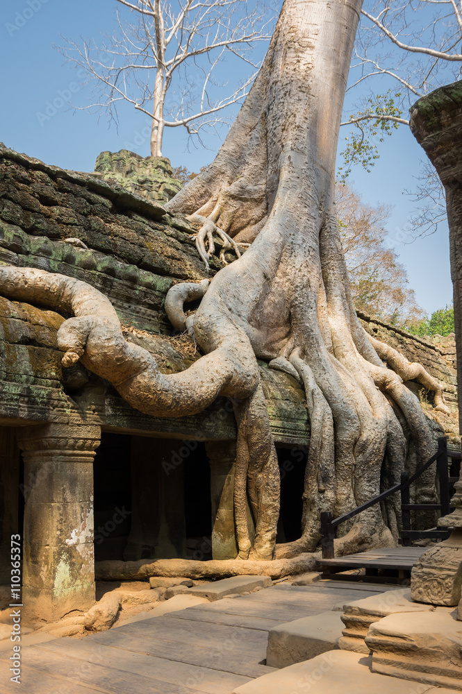 Ta Prohm temple