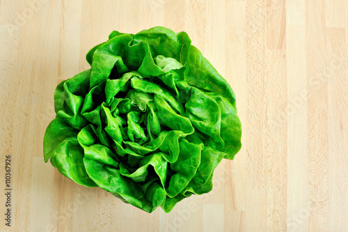 fresh green lettuce from above