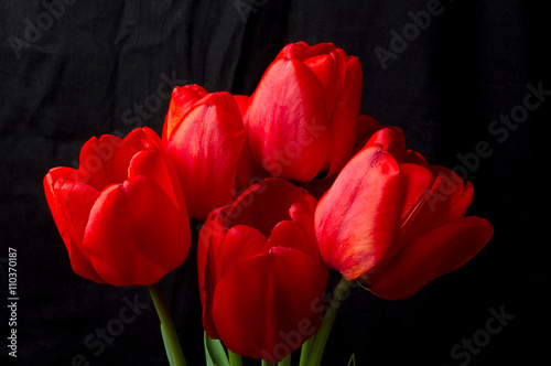 bouquet of red tulips