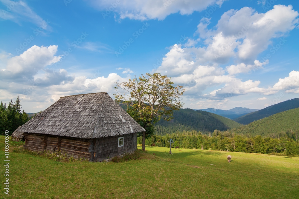 Rural farm with old hut Bran, Carpatians Rural farm with old hut Bran, Carpatians