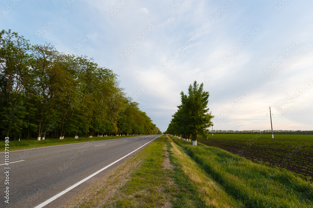 Fototapeta premium country road