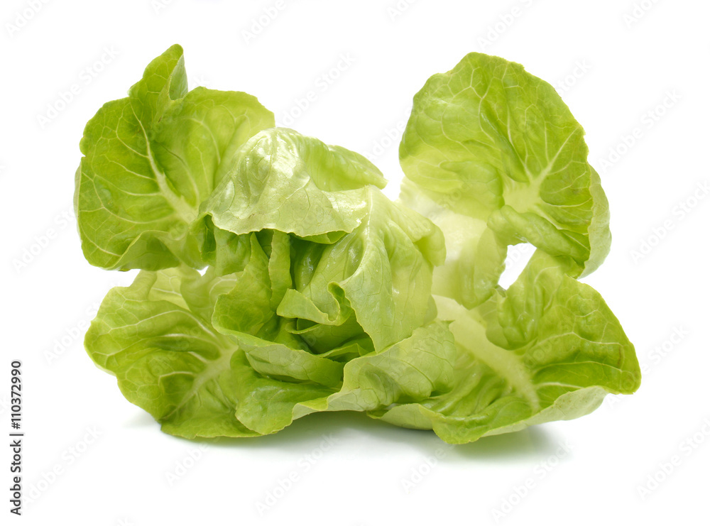 Fresh lettuce salad,Fresh vegetable salad on white background.. Fresh lettuce salad,Fresh vegetable salad on white background..