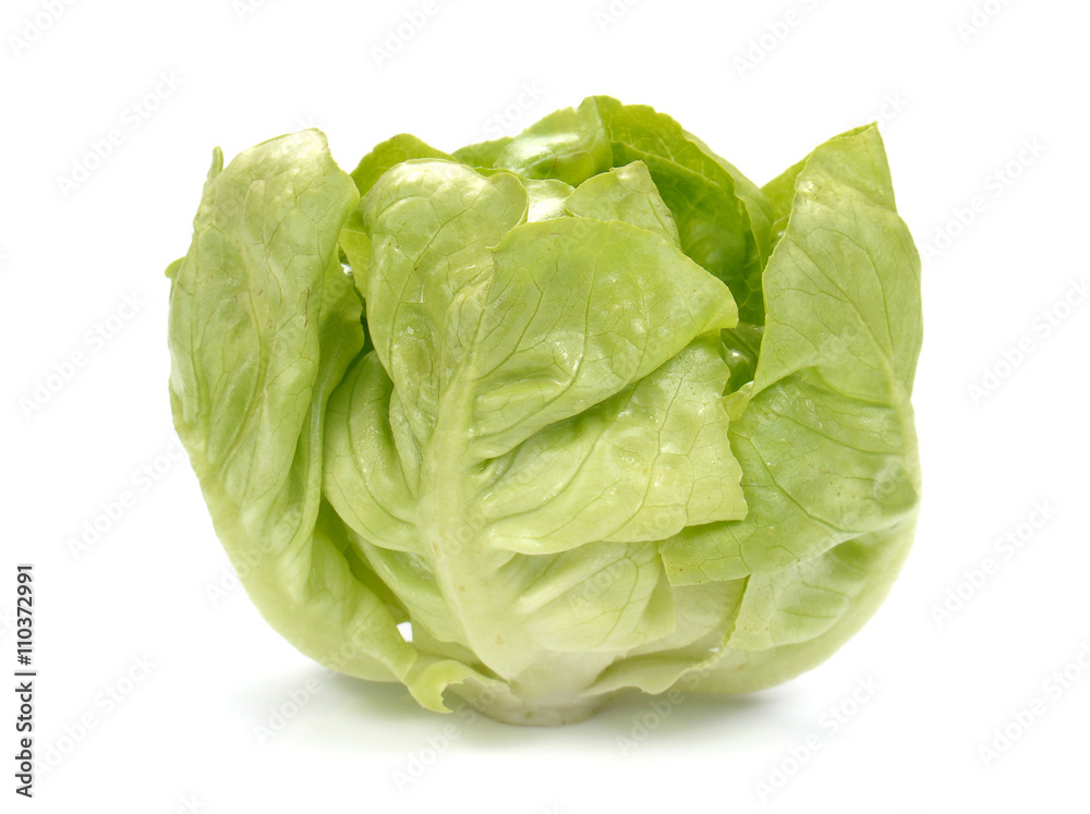 Fresh lettuce salad,Fresh vegetable salad on white background.. Fresh lettuce salad,Fresh vegetable salad on white background..