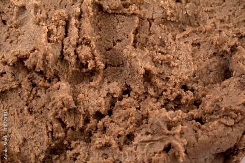 creamy chocolate ice cream texture