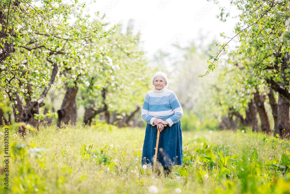 Senior woman standing in blossoming orchard Senior woman standing in blossoming orchard