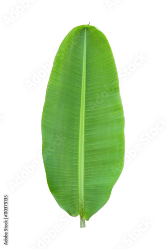 Banana leaf