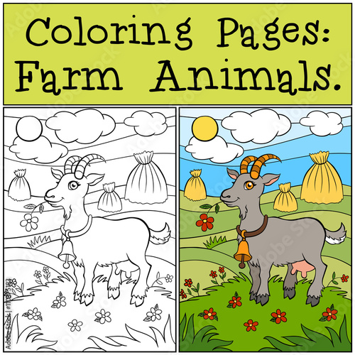 Coloring Pages: Farm Animals. Cute goat stands on the grass in t