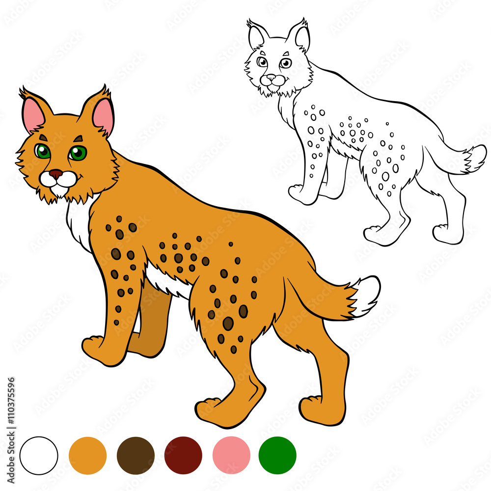 Fototapeta premium Coloring page. Color me: lynx. Cute beautiful lynx stands and sm