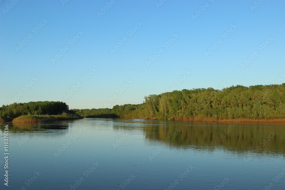 river on the background of green forest river on the background of green forest
