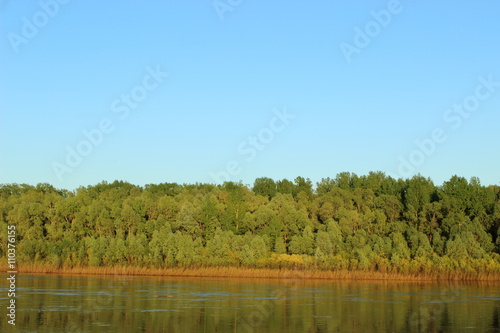 river on the background of green forest