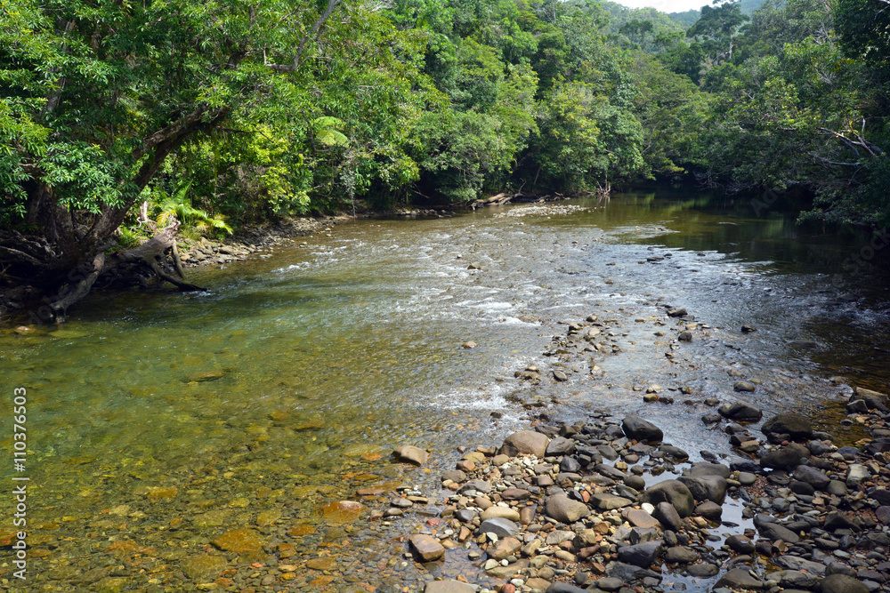 Landscape of a wild stream in Daintree National Park Queensland Landscape of a wild stream in Daintree National Park Queensland