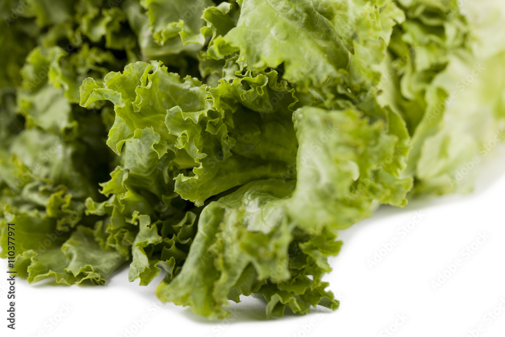 crispy lettuce crispy lettuce