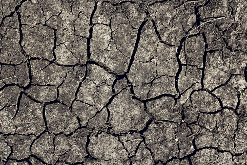 Cracked earth background. Dried earth texture. Cracked earth background. Dried earth texture.