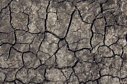 Cracked earth background. Dried earth texture.