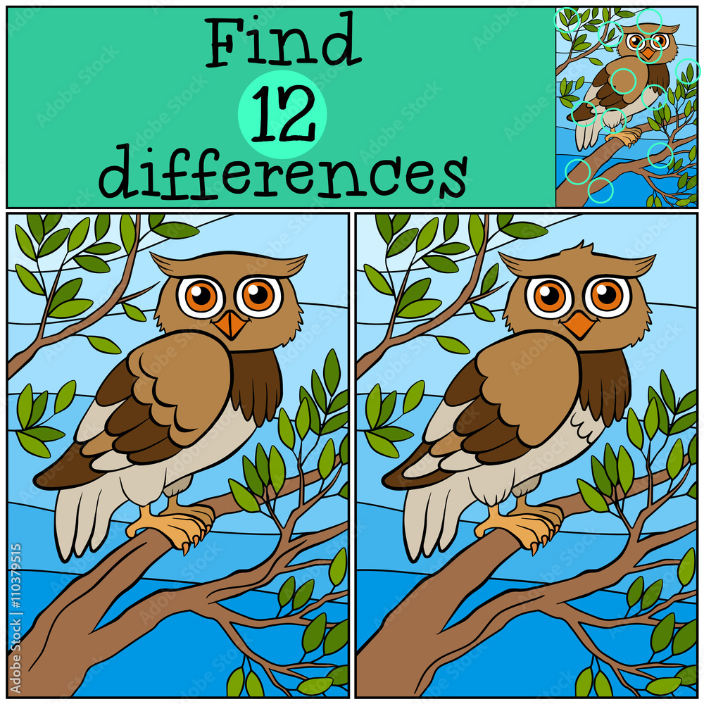 Obraz premium Children games: Find differences. Little cute owl sits on the tr