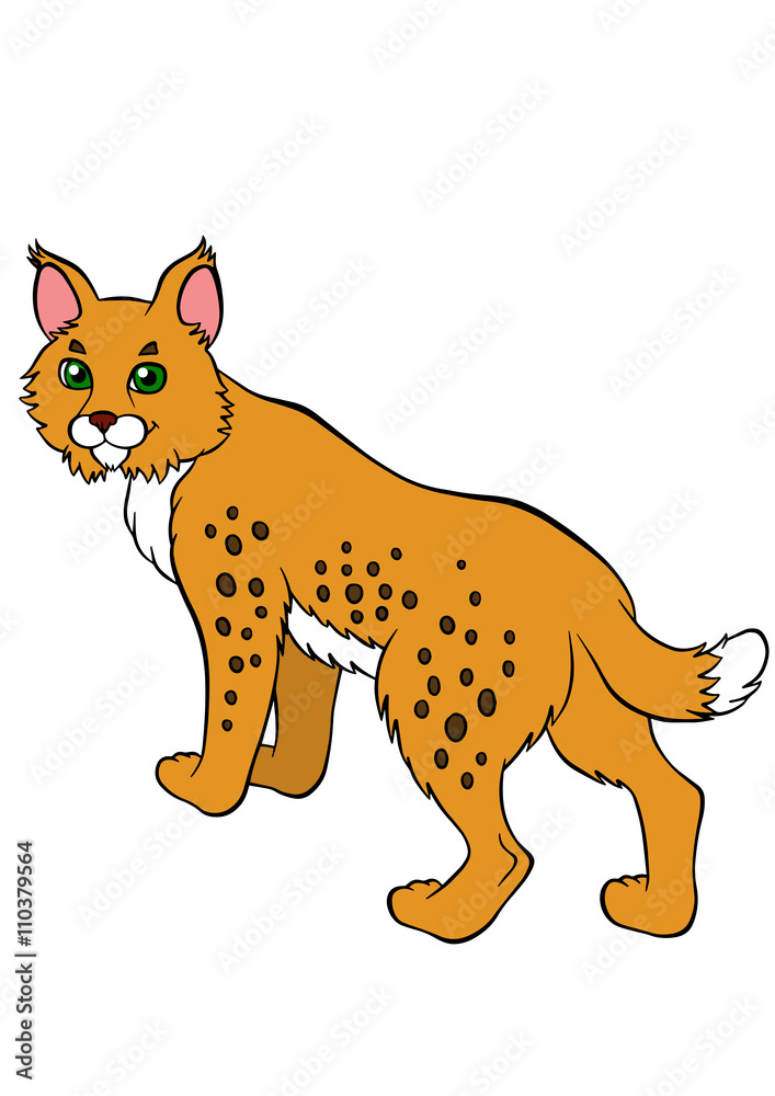 Naklejka premium Cartoon wild animals for kids. Cute beautiful lynx stands and sm