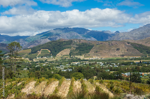 The Cape Winelands region is the premier wine producing area of South Africa