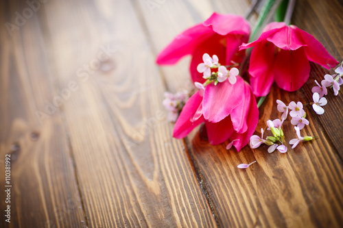 Bunch of beautiful tulips 