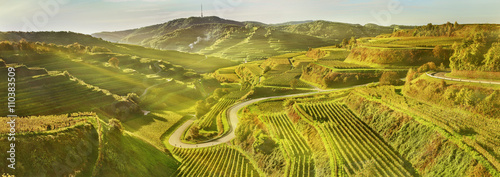 Kunstwerk Kaiserstuhl - Nebelschwaden lichten sich