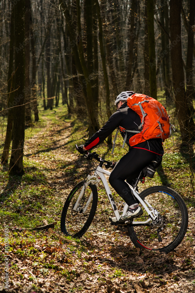 Cyclist Riding the Bike on a Trail in Summer Forest