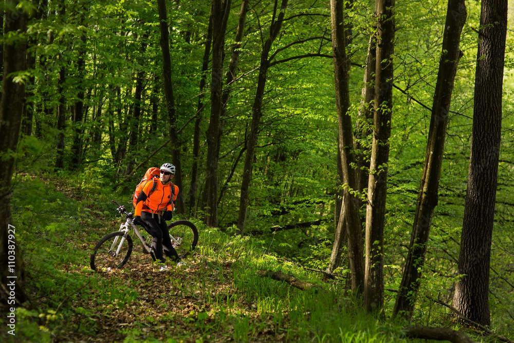 Obraz premium Cyclist Riding the Bike on a Trail in Summer Forest