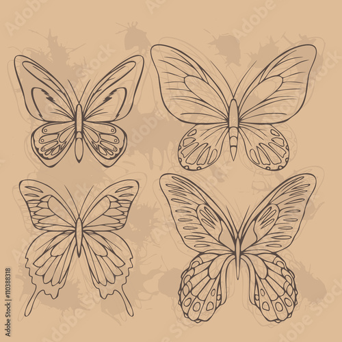 Big realistic collection of colorful butterflies. Ornithoptera croesus and goliath, papilionidae rumanzovia and ulysses, summer flying insects set for greeting cards and  scrapbook.