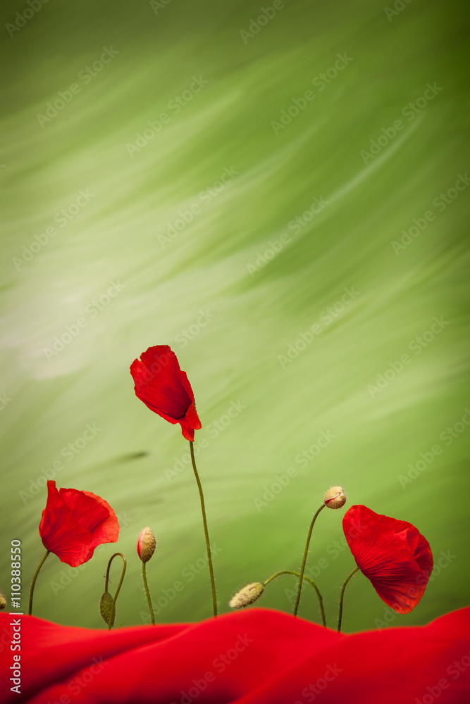 Obraz premium Three red poppy flowers and buds on green background with red cloth