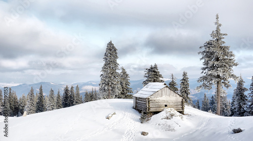 Lonely Wooden House in Winter Forest