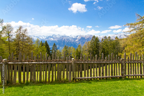 Natur in Südtirol - Blick auf die Texelgruppe photo