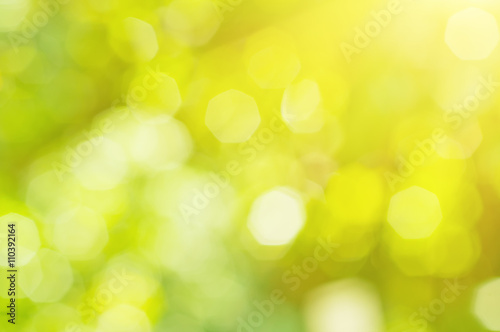 Natural outdoors bokeh in green and yellow tones with sun rays
