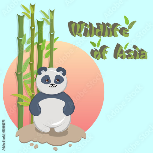 Fototapeta Naklejka Na Ścianę i Meble -  Vector illustration of a panda. Wildlife Asia.