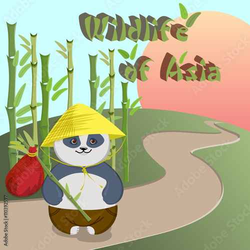 Fototapeta Naklejka Na Ścianę i Meble -  Vector illustration of a panda. Wildlife Asia.
