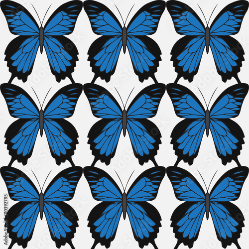 Big realistic collection of colorful butterflies.  Papilionidae ulysses, summer flying insects set for greeting cards and  scrapbook.