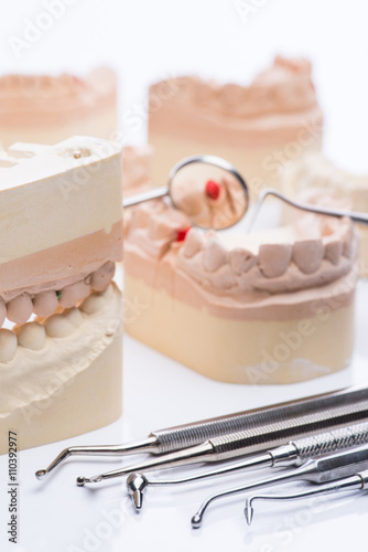 Teeth molds with basic dental tools on a bright white table