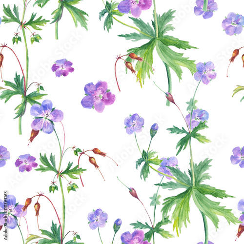 Watercolor floral seamless pattern with geranium