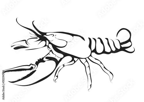 abstract silhouette of lobster