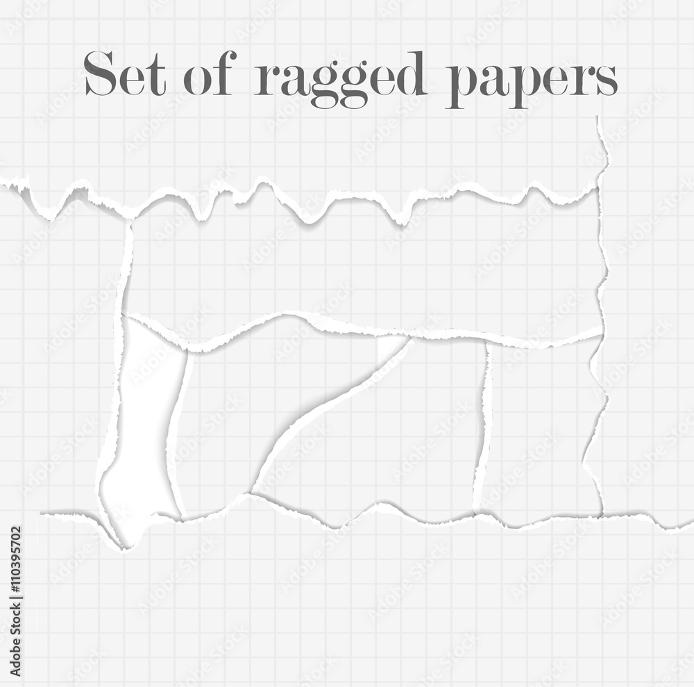 Set of lacerated papers Set of lacerated papers