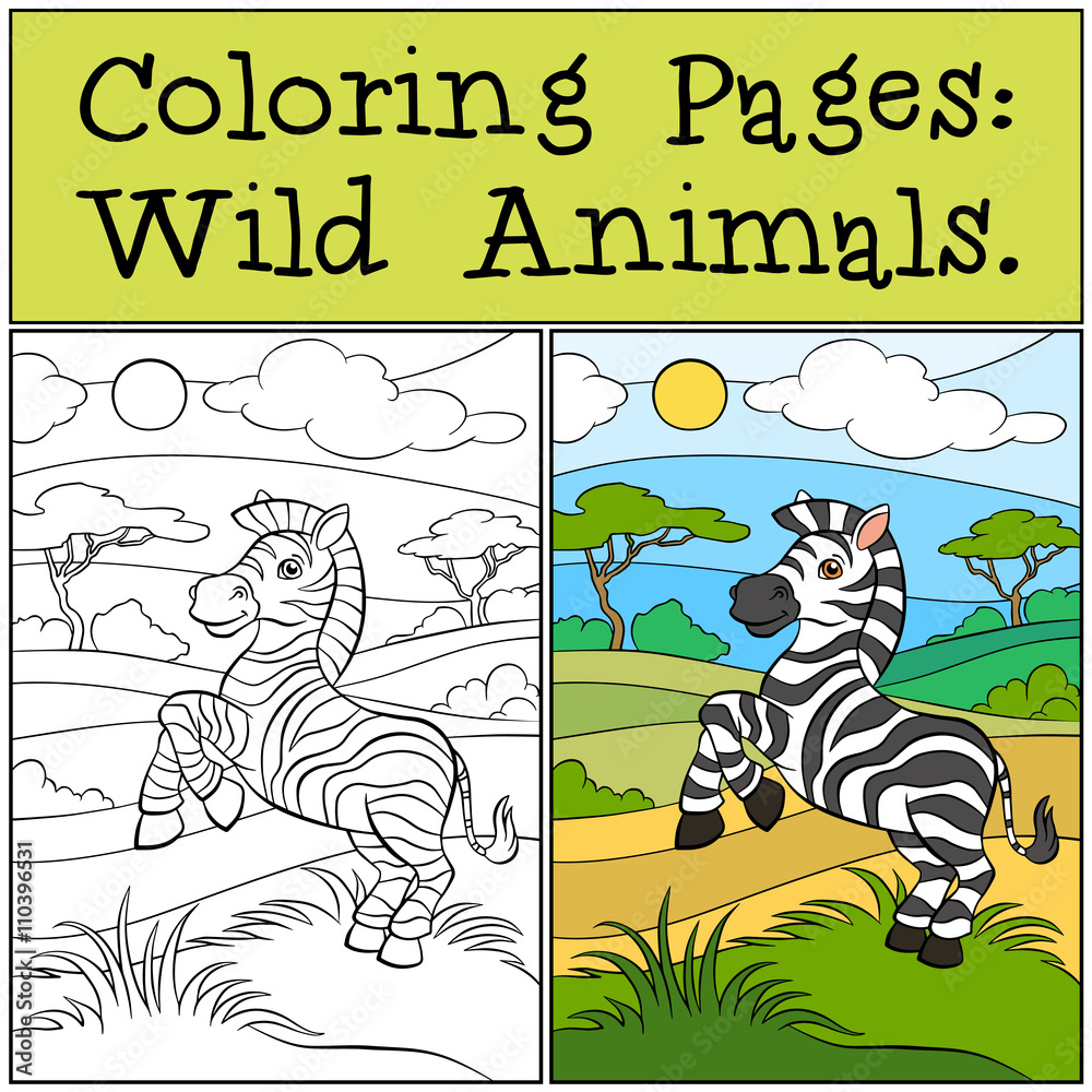 Fototapeta premium Coloring Pages: Wild Animals. Little cute zebra.