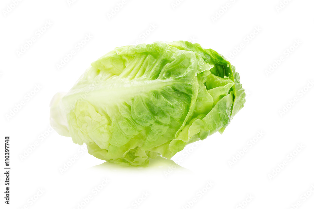 fresh baby cos lettuce on white background fresh baby cos lettuce on white background