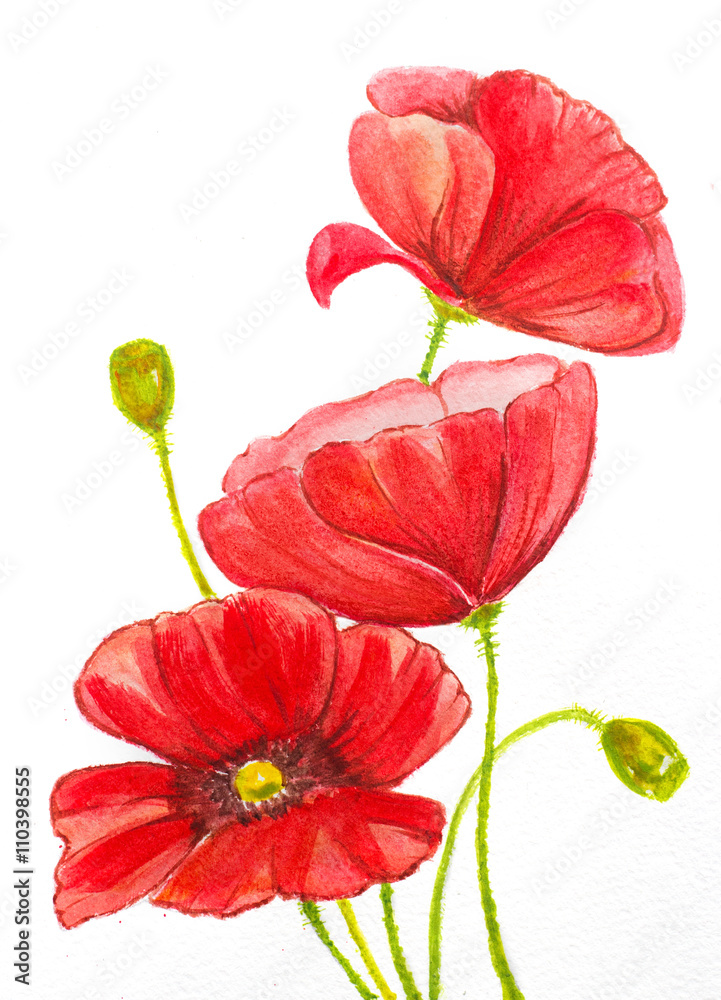 Naklejka premium watercolor hand painted red poppies composition