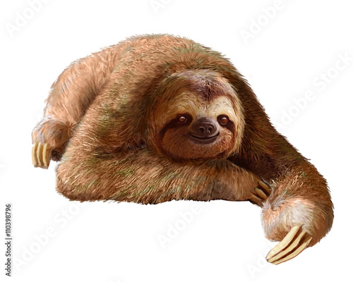 Happy sloth photo