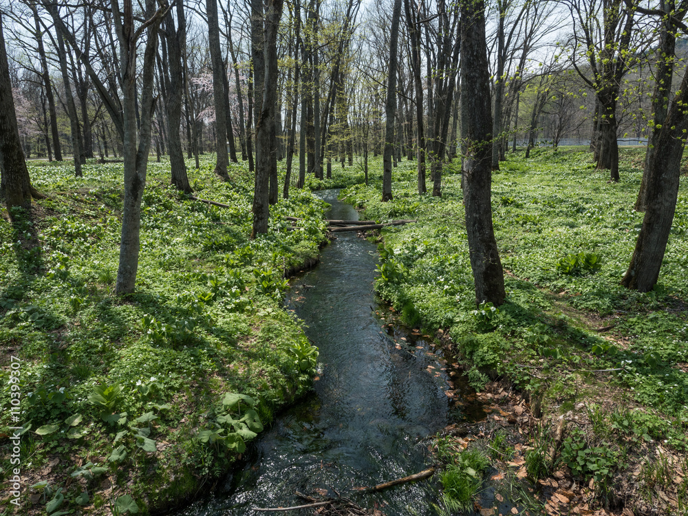 Obraz premium 春の北海道