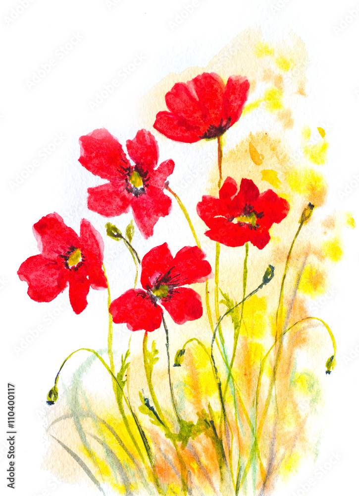 red poppies watercolor painting as natural decorative background