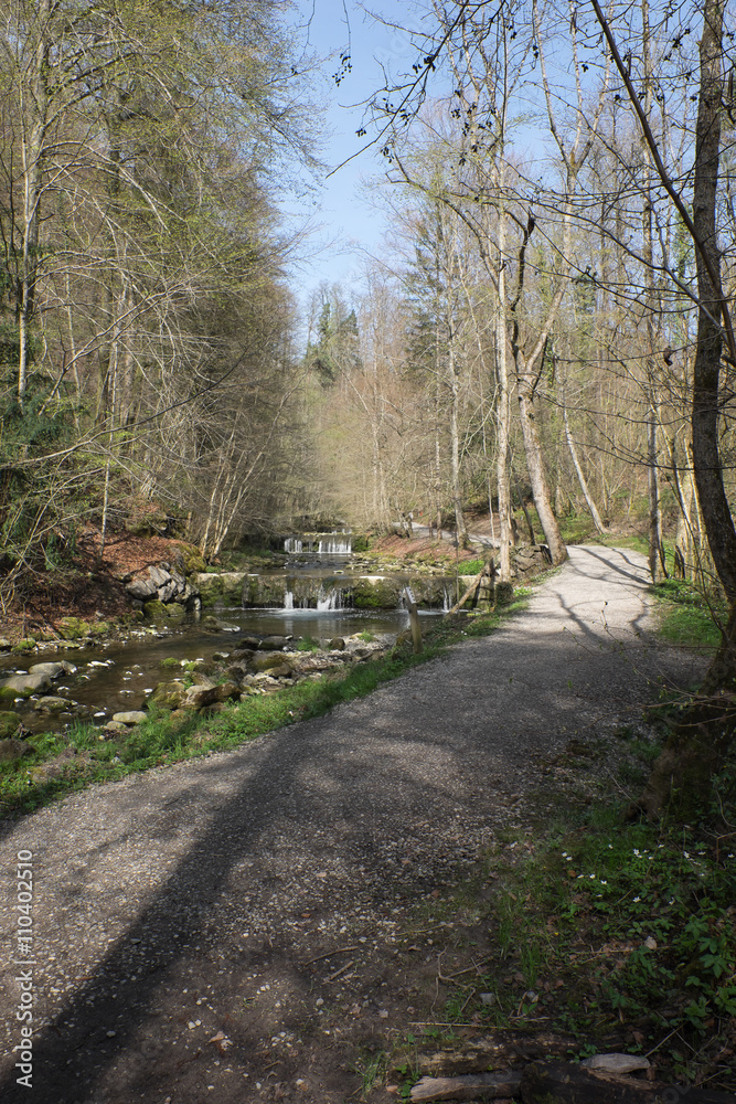 Wanderweg am Fluss im Wald Wanderweg am Fluss im Wald