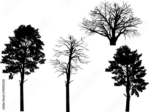 four large black pine silhouettes isolated on white