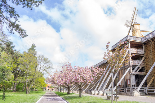 spa garden and graduation house with windmill