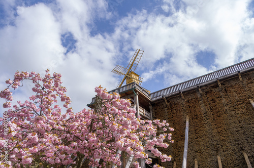 graduation house with windmill