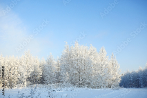 monochrome winter landscape © kichigin19